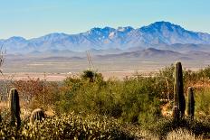 Arizona Sonora Desert Museum Vista-NSirlin-Photographic Print