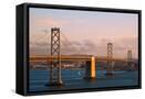 Framed Canvas