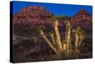 Stretched Canvas