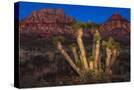 Stretched Canvas