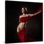 Stretched Canvas
