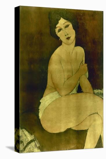 Nu assis sur un divan-Amedeo Modigliani-Stretched Canvas