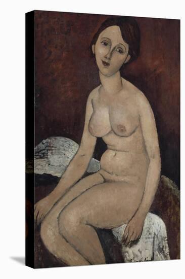 Nu assis-Amedeo Modigliani-Stretched Canvas