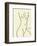 Nu, c.1952-Henri Matisse-Framed Serigraph