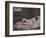 'Nu couché', mid 19th century, (1937)-Gustave Courbet-Framed Giclee Print