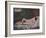 'Nu couché', mid 19th century, (1937)-Gustave Courbet-Framed Giclee Print