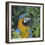 Nuanced-Luis Aguirre-Framed Giclee Print