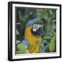 Nuanced-Luis Aguirre-Framed Giclee Print