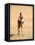 Nubian Camel Driver, Aswan, Egypt-Cindy Miller Hopkins-Framed Stretched Canvas