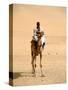 Nubian Camel Driver, Aswan, Egypt-Cindy Miller Hopkins-Stretched Canvas