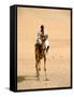 Nubian Camel Driver, Aswan, Egypt-Cindy Miller Hopkins-Framed Stretched Canvas