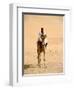 Nubian Camel Driver, Aswan, Egypt-Cindy Miller Hopkins-Framed Photographic Print