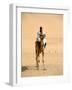 Nubian Camel Driver, Aswan, Egypt-Cindy Miller Hopkins-Framed Photographic Print