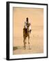 Nubian Camel Driver, Aswan, Egypt-Cindy Miller Hopkins-Framed Photographic Print