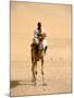 Nubian Camel Driver, Aswan, Egypt-Cindy Miller Hopkins-Mounted Photographic Print