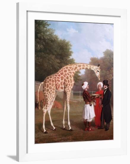 Nubian Giraffe, 1827-Jacques-Laurent Agasse-Framed Art Print