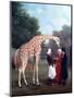 Nubian Giraffe-Jacques-Laurent Agasse-Mounted Giclee Print