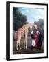 Nubian Giraffe-Jacques-Laurent Agasse-Framed Giclee Print