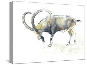 Nubian Ibex, 2008-Mark Adlington-Stretched Canvas