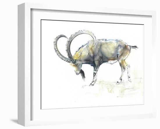 Nubian Ibex, 2008-Mark Adlington-Framed Giclee Print