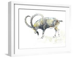 Nubian Ibex, 2008-Mark Adlington-Framed Giclee Print