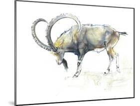 Nubian Ibex, 2008-Mark Adlington-Mounted Giclee Print