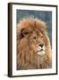 Nubian Lion, Extinct in Wild-null-Framed Photographic Print