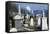 Nuclear Plant and Cemetery-null-Framed Stretched Canvas