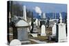 Nuclear Plant and Cemetery-null-Stretched Canvas
