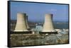 Nuclear Power Plant-Ron Kuntz-Framed Stretched Canvas