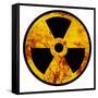 Nuclear Sign-argus456-Framed Stretched Canvas