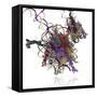 Nucleosome Molecule-Ramon Andrade-Framed Stretched Canvas