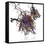 Nucleosome Molecule-Ramon Andrade-Framed Stretched Canvas