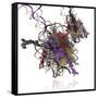 Nucleosome Molecule-Ramon Andrade-Framed Stretched Canvas