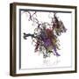 Nucleosome Molecule-Ramon Andrade-Framed Premium Photographic Print