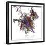 Nucleosome Molecule-Ramon Andrade-Framed Premium Photographic Print