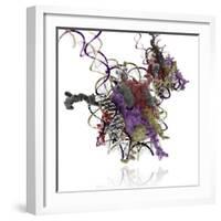 Nucleosome Molecule-Ramon Andrade-Framed Premium Photographic Print