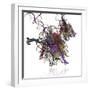 Nucleosome Molecule-Ramon Andrade-Framed Premium Photographic Print