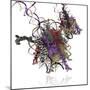 Nucleosome Molecule-Ramon Andrade-Mounted Premium Photographic Print
