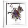 Nucleosome Molecule-Ramon Andrade-Framed Photographic Print