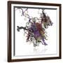 Nucleosome Molecule-Ramon Andrade-Framed Photographic Print
