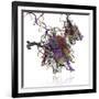 Nucleosome Molecule-Ramon Andrade-Framed Photographic Print