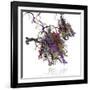 Nucleosome Molecule-Ramon Andrade-Framed Photographic Print