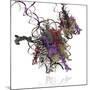 Nucleosome Molecule-Ramon Andrade-Mounted Photographic Print