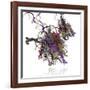 Nucleosome Molecule-Ramon Andrade-Framed Photographic Print