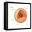 Nucleus, Cellular Organelle, Cell Biology-Encyclopaedia Britannica-Framed Stretched Canvas