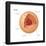 Nucleus, Cellular Organelle, Cell Biology-Encyclopaedia Britannica-Framed Poster