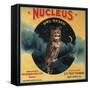 Nucleus Owl Brand - Ontario, California - Citrus Crate Label-Lantern Press-Framed Stretched Canvas