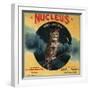 Nucleus Owl Brand - Ontario, California - Citrus Crate Label-Lantern Press-Framed Art Print