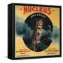 Nucleus Owl Brand - Ontario, California - Citrus Crate Label-Lantern Press-Framed Stretched Canvas